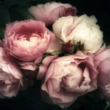 Load image into Gallery viewer, Moody Florals - Mint Decoupage Paper