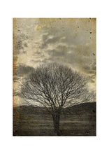 Load image into Gallery viewer, Sepia Tree - Mint Decoupage Paper