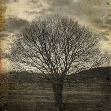 Load image into Gallery viewer, Sepia Tree - Mint Decoupage Paper