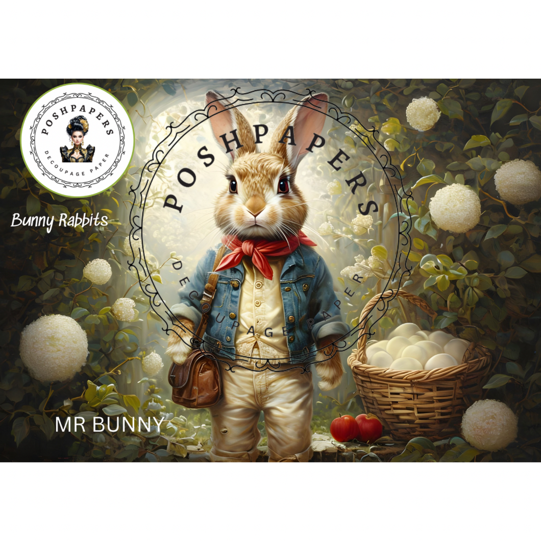 Posh Papers - MR BUNNY