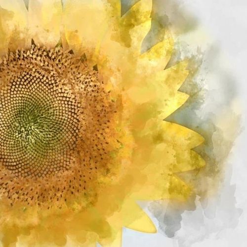 Sunflower - Mint Decoupage Paper